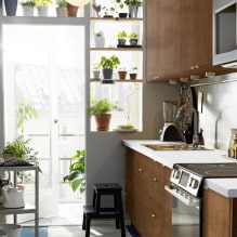 Quelles plantes peuvent être utilisées en cuisine ?-4