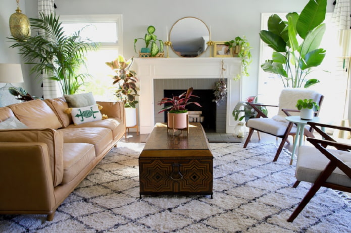 Plantes d'intérieur