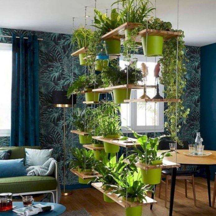 Plantes basses à l'intérieur