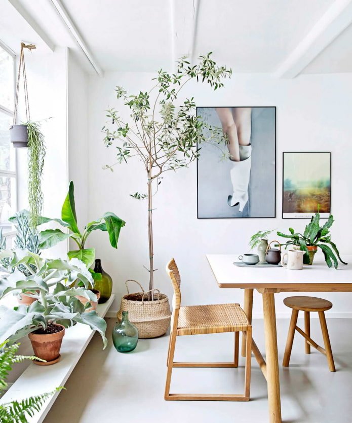 Décorer l'intérieur avec des plantes