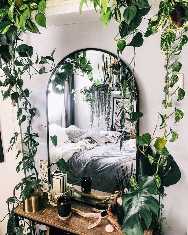 Mettre en valeur un miroir avec des plantes