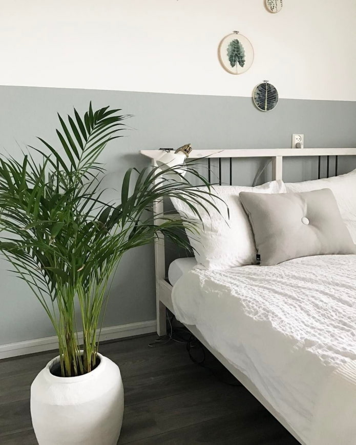Plantes dans la chambre