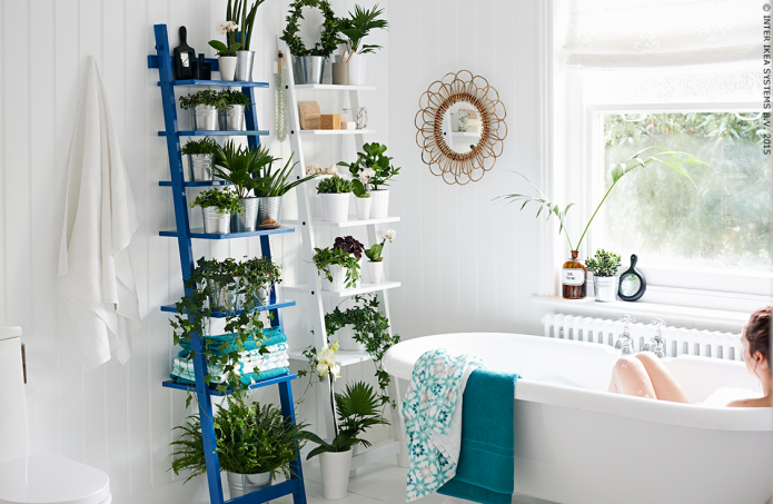 Plantes dans la salle de bain