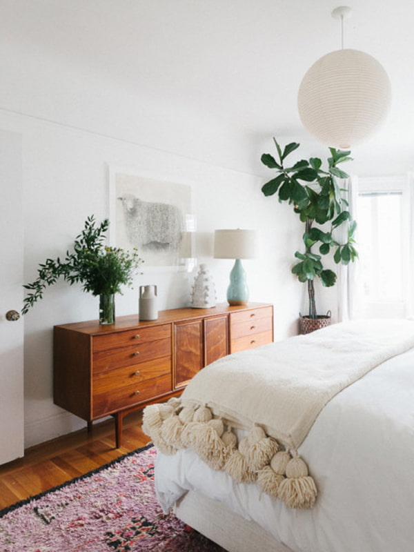 Plantes dans l'intérieur de la chambre