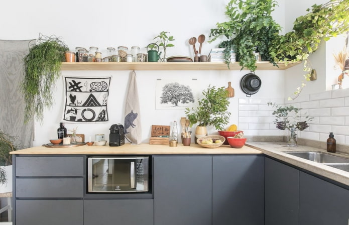 Plantes dans la cuisine Intérieur