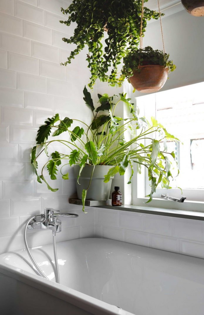 fleurs au-dessus de la baignoire