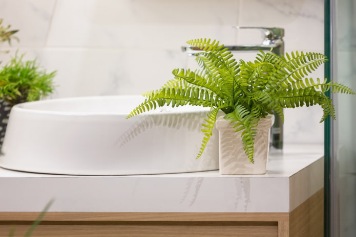 fougère pour la salle de bain