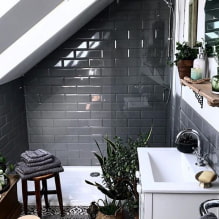 Plantes pour la salle de bain-1