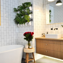 Plantes pour la salle de bain-3