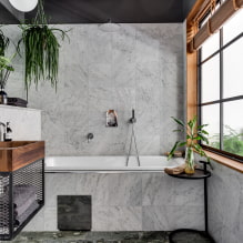 Plantes pour la salle de bain-2