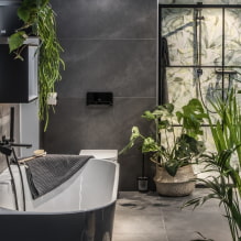 Plantes pour la salle de bain-5