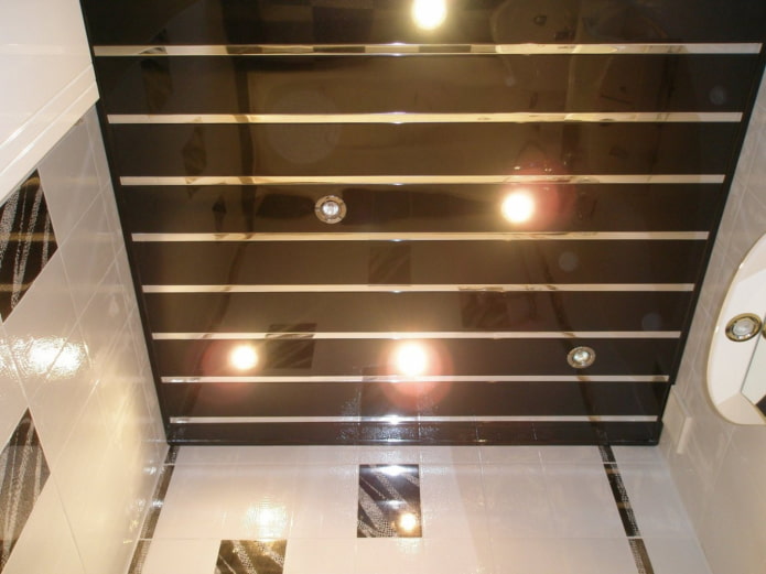 Structure de suspension à lattes noires