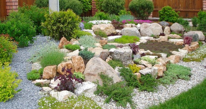 Pelouse alpine