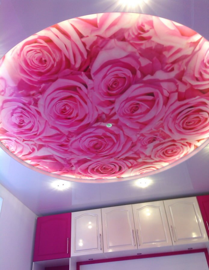 Impression photo sur les rosaces de plafond