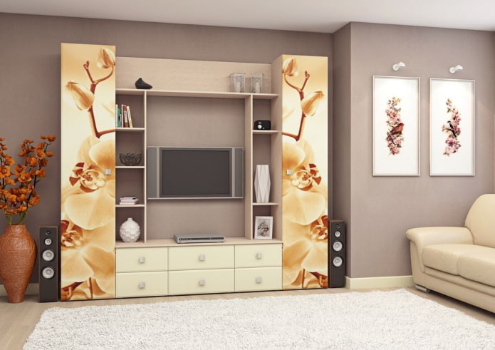 armoire dans le salon intérieur