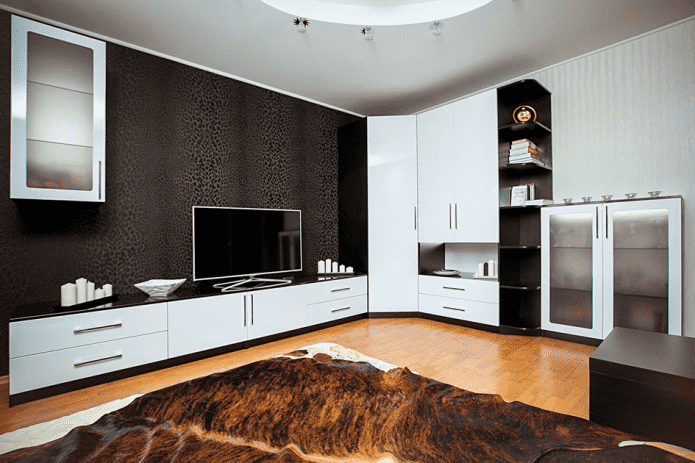 Armoire à l'intérieur du hall de style moderne