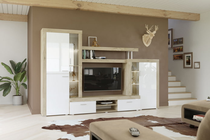 Armoire dans le hall d'entrée de style moderne