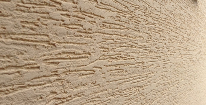 plâtre clair anti-scolytes