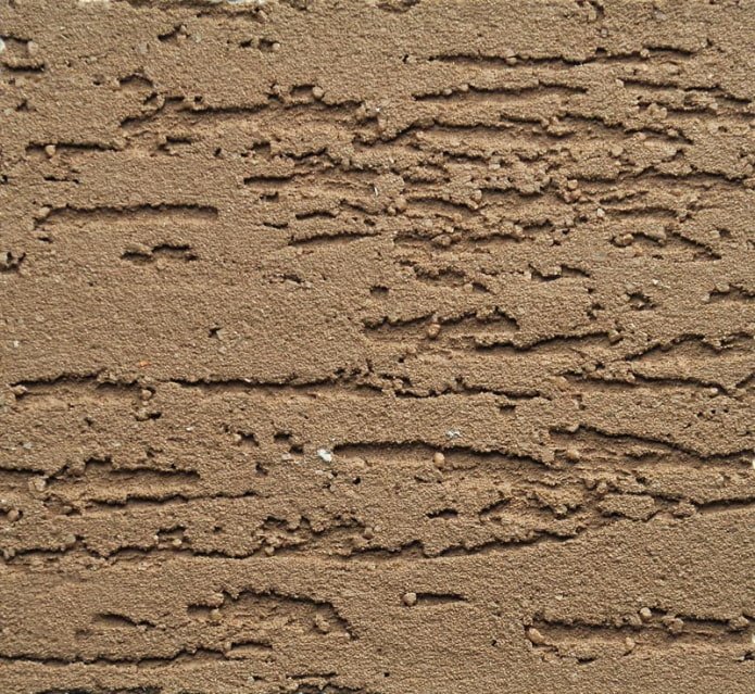 enduit anti-scolytes bruns
