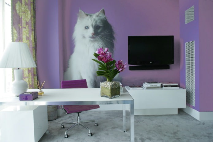 Chat sur le mur du bureau