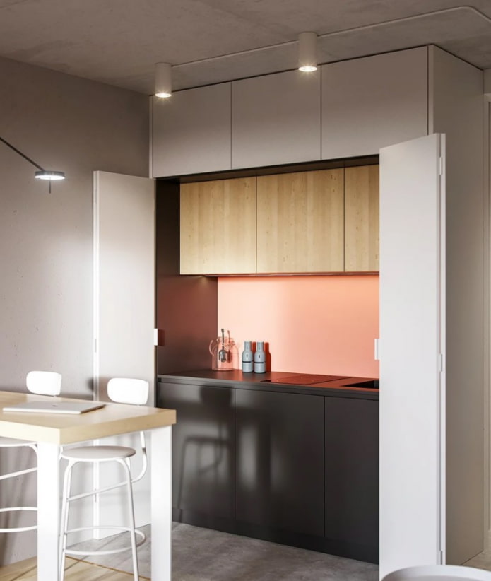cuisine compacte invisible