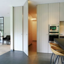 Portes cachées à l'intérieur (avantages et inconvénients, photos et design)-1