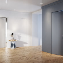 Portes cachées à l'intérieur (avantages et inconvénients, photos et design)-5