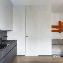 Portes cachées à l'intérieur (avantages et inconvénients, photos et design)-4