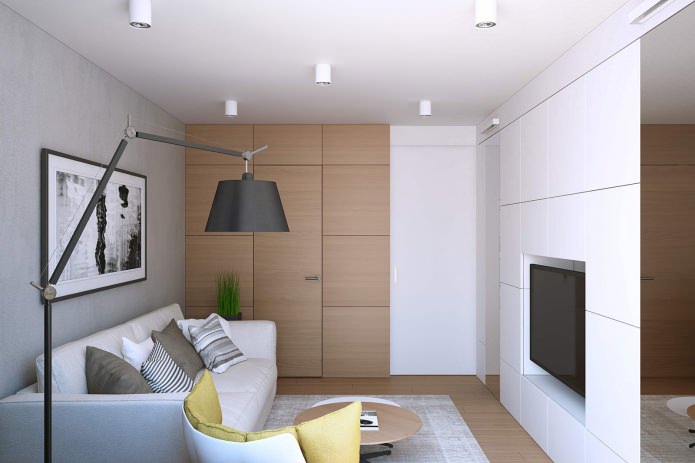 Aménagement d'un salon dans un studio de 43 m².