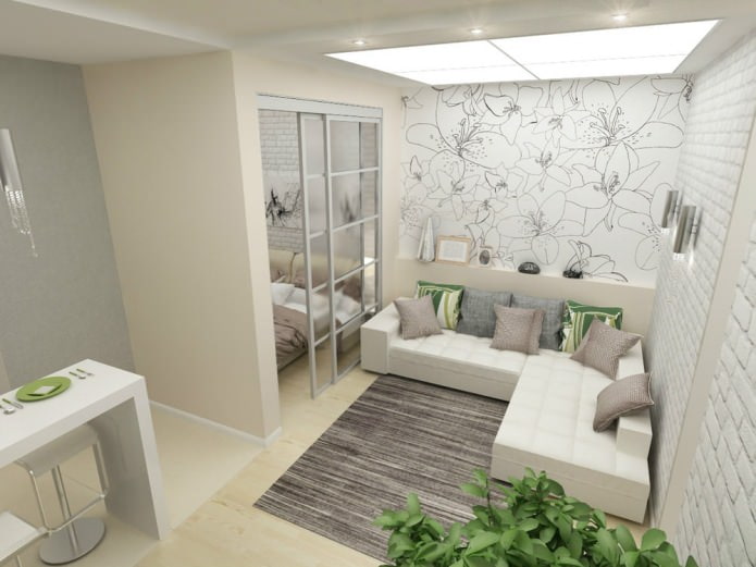 conception d'un appartement d'une pièce de 45 m².