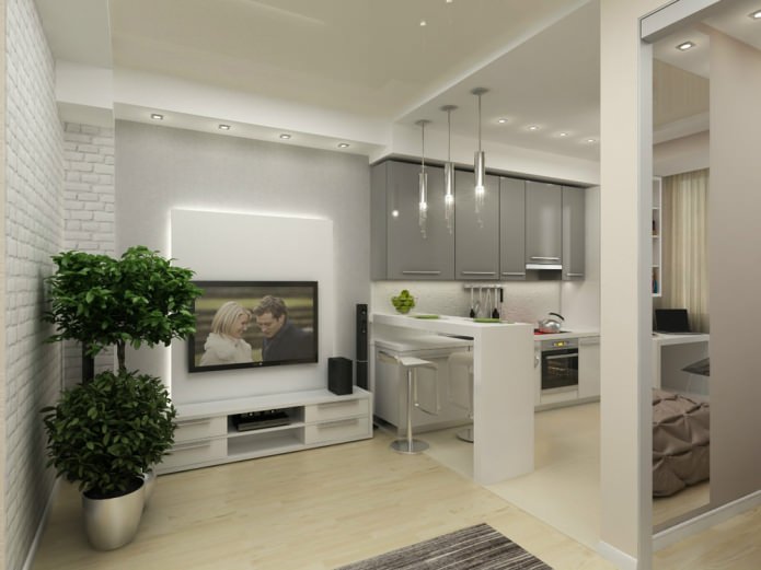 conception d'un appartement d'une pièce de 45 m².