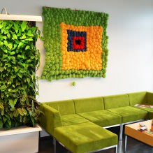 Éco-style dans la décoration intérieure-11