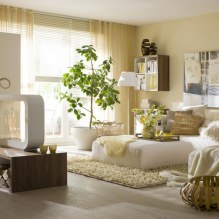 Style écologique en décoration d'intérieur-4