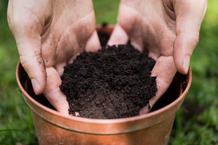 soil