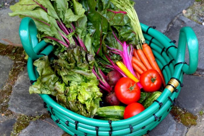 panier avec légumes