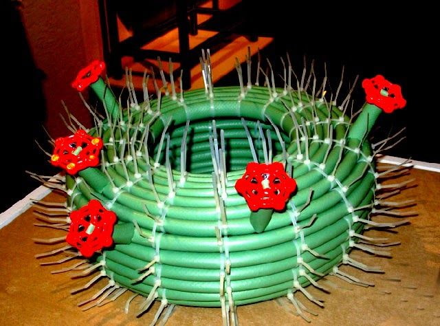 cactus d'un tuyau