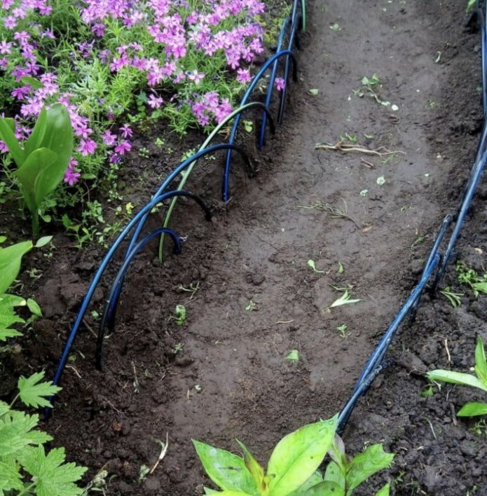 hose fence