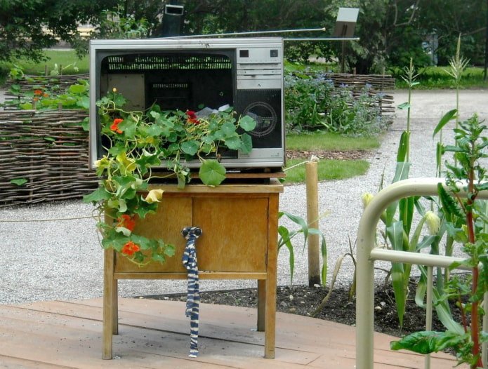 Parterre de fleurs d'un vieux téléviseur