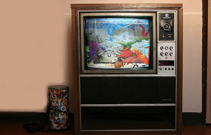 Aquarium du téléviseur