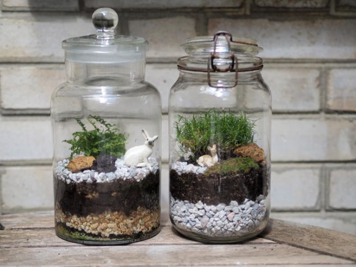 florarium