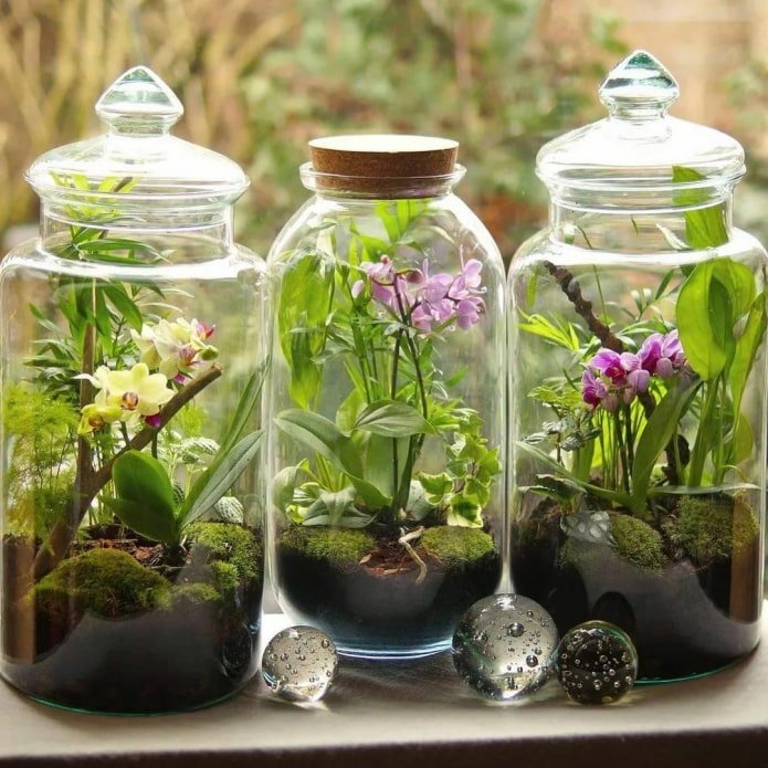 florarium