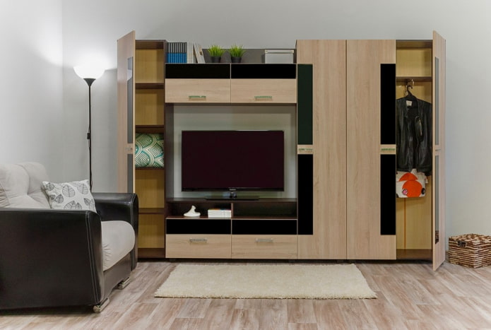 Mur pour vêtements dans le salon