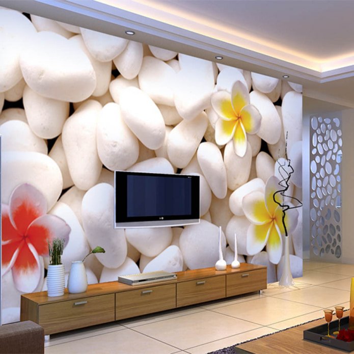 Papier peint photo dans le salon