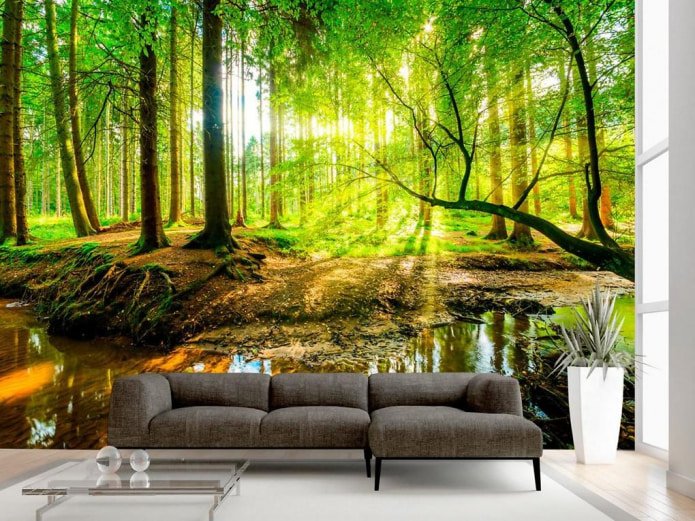 forest on wallpaper