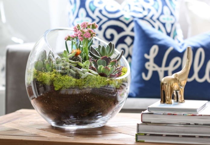 florarium dans le salon