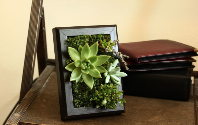 peinture de plantes succulentes