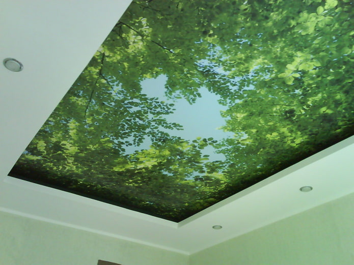 Plafond tendu texturé avec verdure