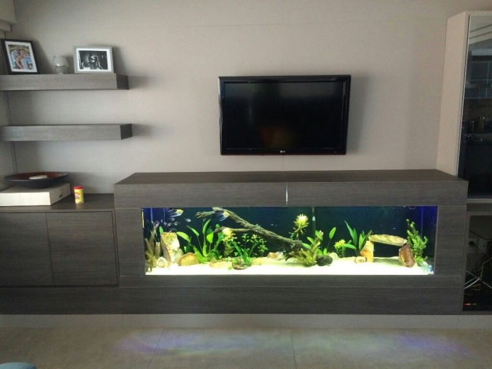 Téléviseur mural avec un aquarium dans le salon