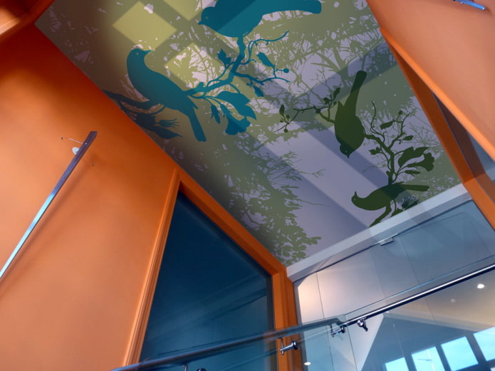 toile tendue avec image d'oiseaux