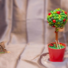 Comment faire un topiaire de ses propres mains ?-3